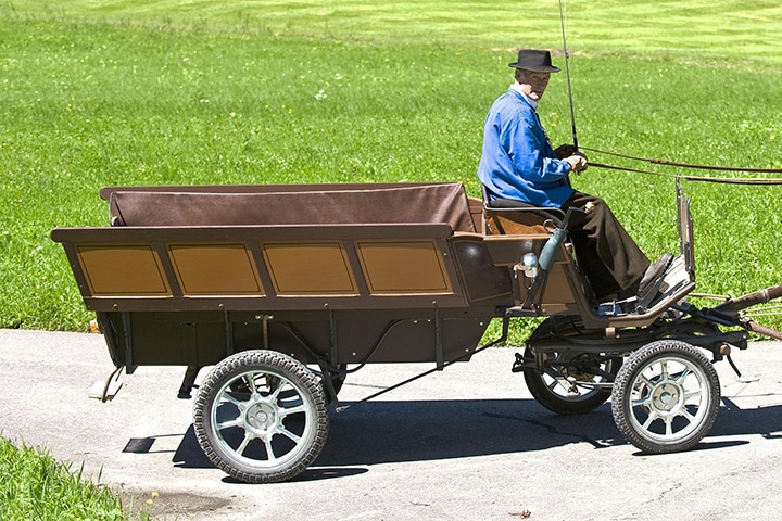 The Wagon